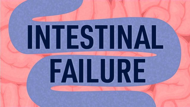 Image for Intestinal Failure