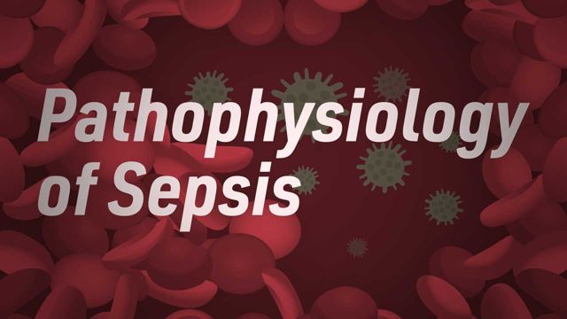 Cover image for: Pathophysiology of Sepsis